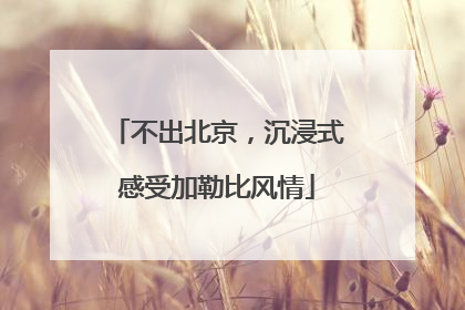 不出北京，沉浸式感受加勒比风情