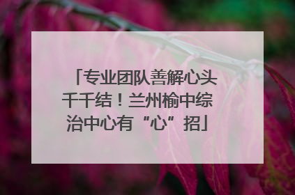 专业团队善解心头千千结！兰州榆中综治中心有“心”招