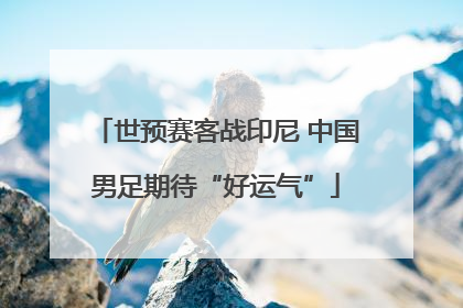 世预赛客战印尼 中国男足期待“好运气”