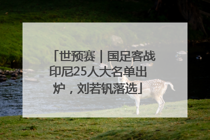 世预赛｜国足客战印尼25人大名单出炉，刘若钒落选