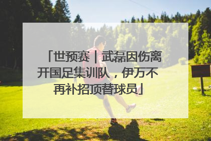 世预赛｜武磊因伤离开国足集训队，伊万不再补招顶替球员