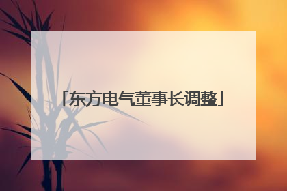 东方电气董事长调整