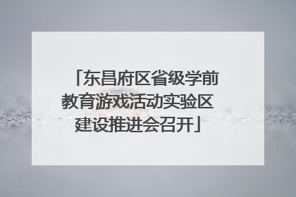 东昌府区省级学前教育游戏活动实验区建设推进会召开