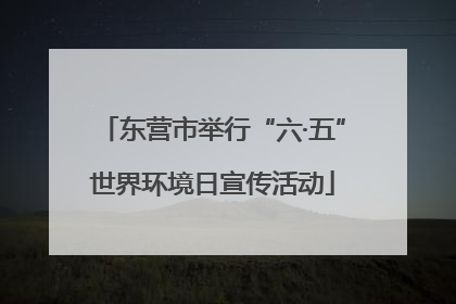 东营市举行“六·五”世界环境日宣传活动
