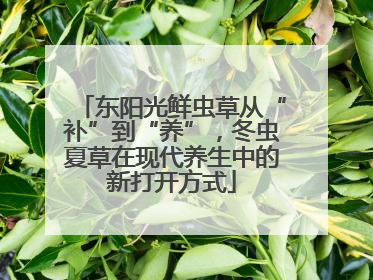 东阳光鲜虫草从“补”到“养”，冬虫夏草在现代养生中的新打开方式