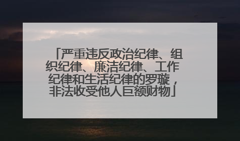 严重违反政治纪律、组织纪律、廉洁纪律、工作纪律和生活纪律的罗璇，非法收受他人巨额财物