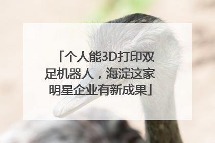 个人能3D打印双足机器人，海淀这家明星企业有新成果