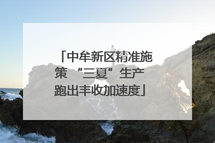 中牟新区精准施策 “三夏”生产跑出丰收加速度