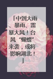 中到大雨、暴雨、雷暴大风！台风“蝴蝶”来袭，或将影响湖北！
