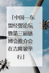 中国—东盟经贸论坛暨第三届链博会推介会在吉隆坡举行