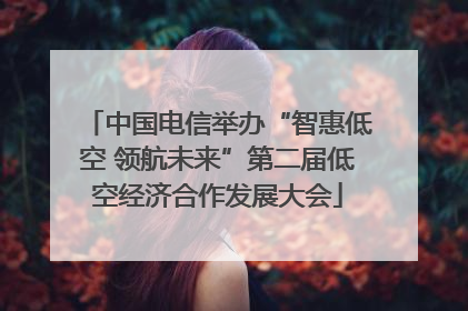 中国电信举办“智惠低空 领航未来”第二届低空经济合作发展大会