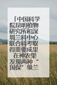 中国科学院昆明植物研究所和深圳兰科中心联合科考取得重要成果 在神农架发现两种“国保”级兰花