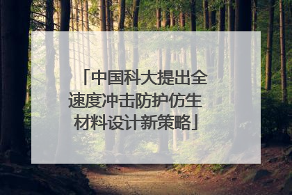 中国科大提出全速度冲击防护仿生材料设计新策略
