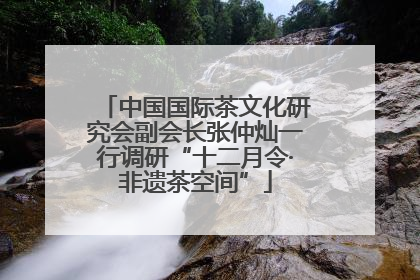 中国国际茶文化研究会副会长张仲灿一行调研“十二月令·非遗茶空间”