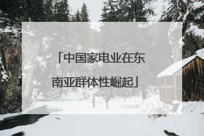 中国家电业在东南亚群体性崛起