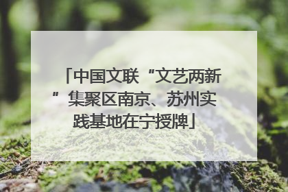 中国文联“文艺两新”集聚区南京、苏州实践基地在宁授牌