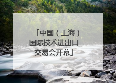 中国（上海）国际技术进出口交易会开幕