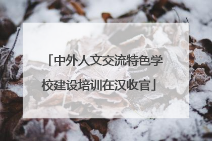 中外人文交流特色学校建设培训在汉收官