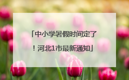 中小学暑假时间定了！河北1市最新通知