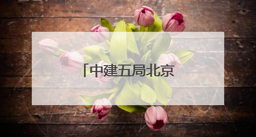中建五局北京公司举办夏季职工健步走活动
