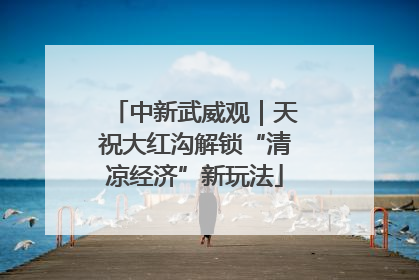 中新武威观｜天祝大红沟解锁“清凉经济”新玩法