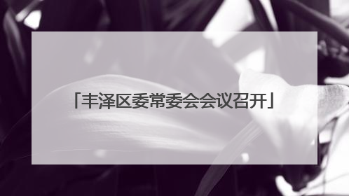 丰泽区委常委会会议召开