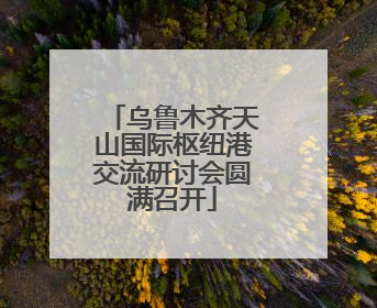 乌鲁木齐天山国际枢纽港交流研讨会圆满召开