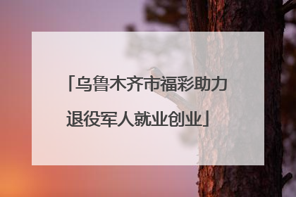乌鲁木齐市福彩助力退役军人就业创业
