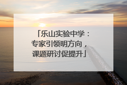 乐山实验中学：专家引领明方向，课题研讨促提升