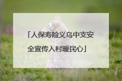 人保寿险义乌中支安全宣传入村暖民心