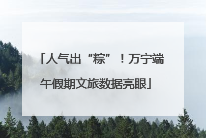 人气出“粽”！万宁端午假期文旅数据亮眼
