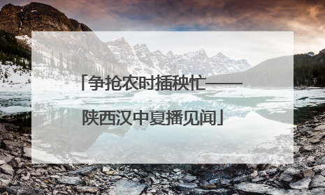 争抢农时插秧忙——陕西汉中夏播见闻