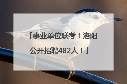 事业单位联考！洛阳公开招聘482人！