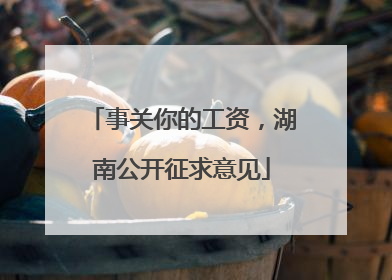 事关你的工资，湖南公开征求意见