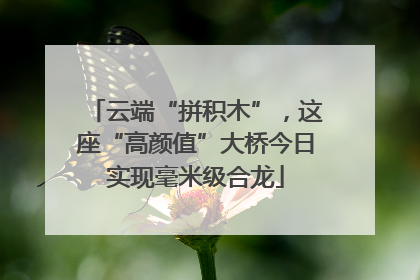 云端“拼积木”，这座“高颜值”大桥今日实现毫米级合龙