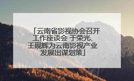 云南省影视协会召开工作座谈会 于荣光、王砚辉为云南影视产业发展出谋划策