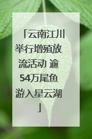 云南江川举行增殖放流活动 逾54万尾鱼游入星云湖