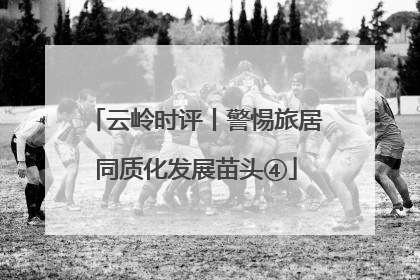 云岭时评丨警惕旅居同质化发展苗头④