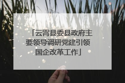 云霄县委县政府主要领导调研党建引领国企改革工作