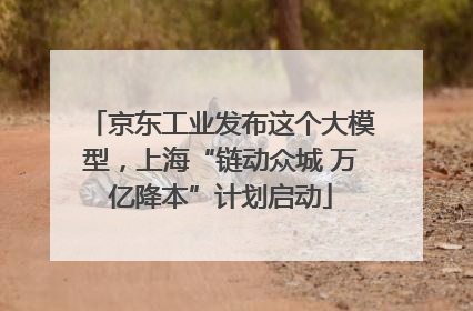 京东工业发布这个大模型，上海“链动众城 万亿降本”计划启动