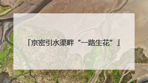 京密引水渠畔“一路生花”