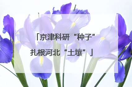 京津科研“种子”扎根河北“土壤”