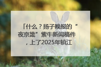 什么？扬子晚报的“夜京畿”紫牛新闻稿件，上了2025年镇江中考模拟卷！