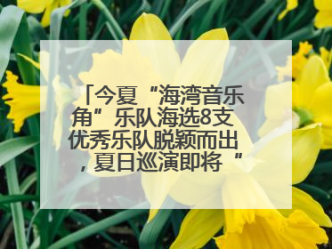 今夏“海湾音乐角”乐队海选8支优秀乐队脱颖而出，夏日巡演即将“乐动”青岛市南