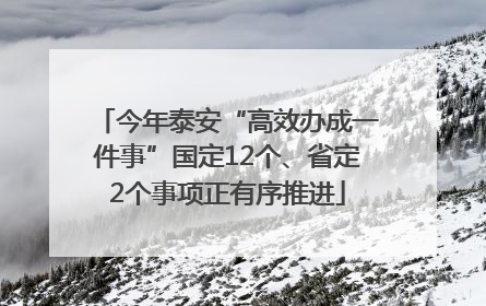 今年泰安“高效办成一件事”国定12个、省定2个事项正有序推进