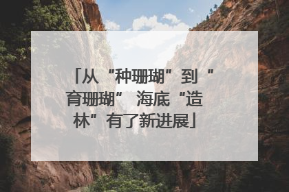 从“种珊瑚”到“育珊瑚” 海底“造林”有了新进展