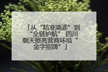 从“精准滴灌”到“全链护航” 四川朝天擦亮营商环境“金字招牌”