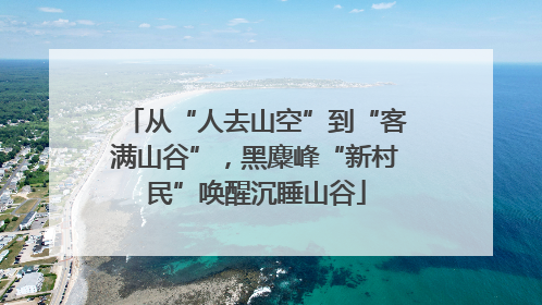 从“人去山空”到“客满山谷”，黑麋峰“新村民”唤醒沉睡山谷