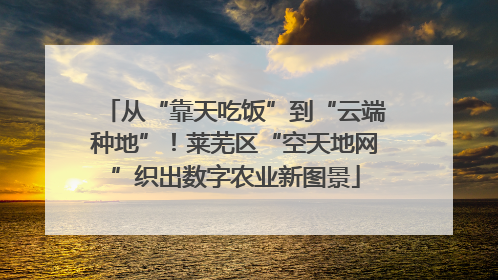从“靠天吃饭”到“云端种地”！莱芜区“空天地网”织出数字农业新图景