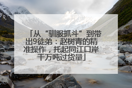 从“驯服抓斗”到带出9徒弟：赵树青的精准操作，托起同江口岸千万吨过货量